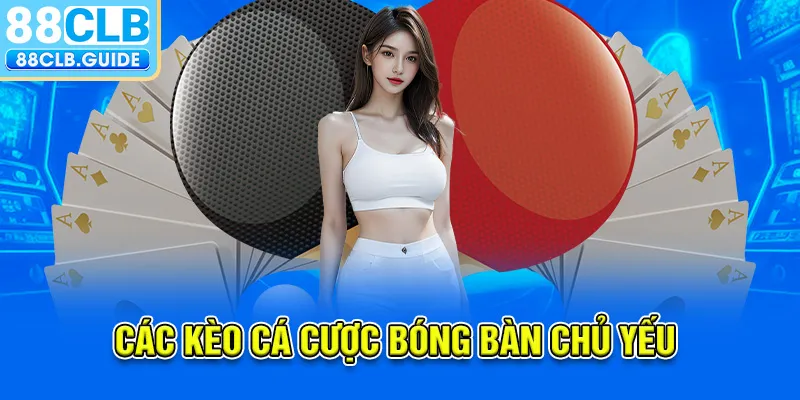 Các kèo cá cược bóng bàn chủ yếu 