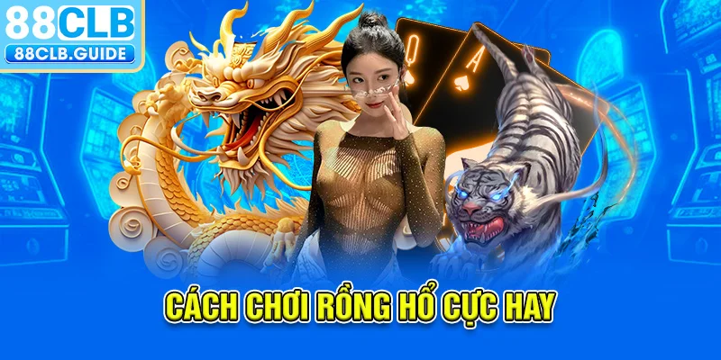 Cách chơi rồng hổ cực hay