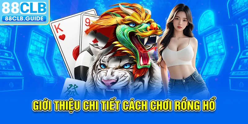 Giới thiệu chi tiết cách chơi rồng hổ