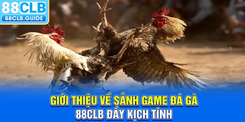 Giới thiệu về sảnh game đá gà 88CLB đầy kịch tính