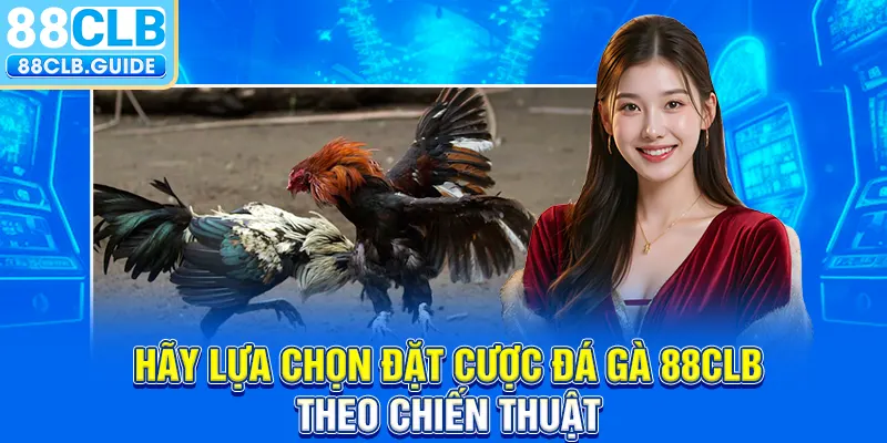 Hãy lựa chọn đặt cược đá gà 88CLB theo chiến thuật