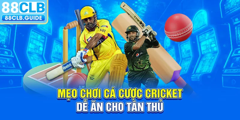 Mẹo chơi cá cược Cricket dễ ăn cho tân thủ